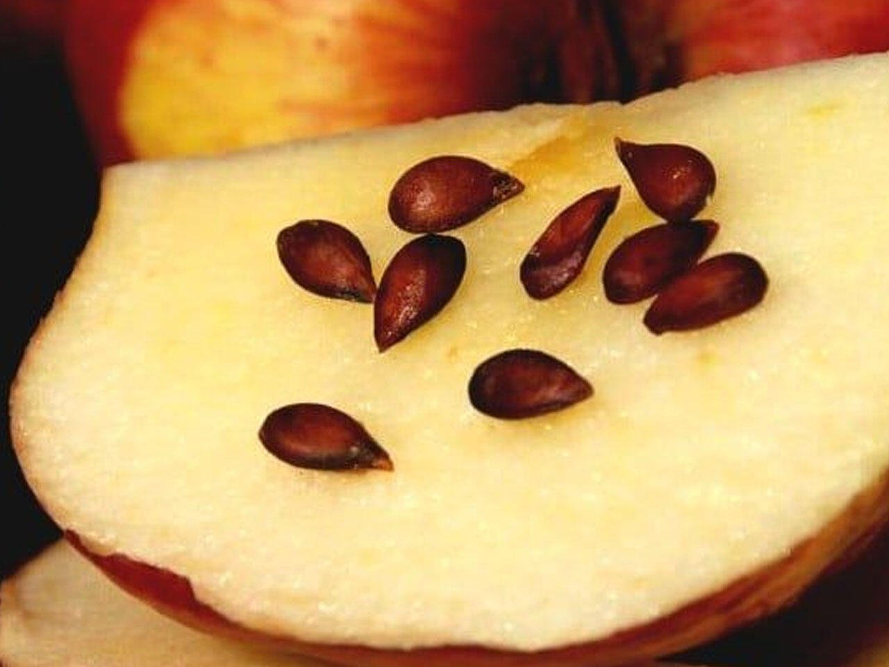 Apples (Seeds)