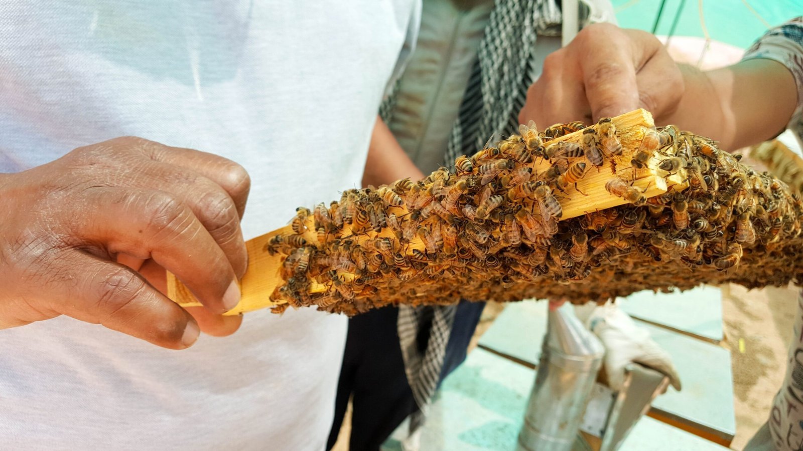 Raw Honey