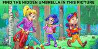 Can You Find the Hidden Object in This Picture?