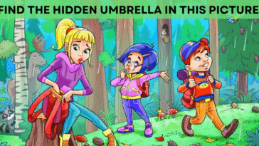 Can You Find the Hidden Object in This Picture?