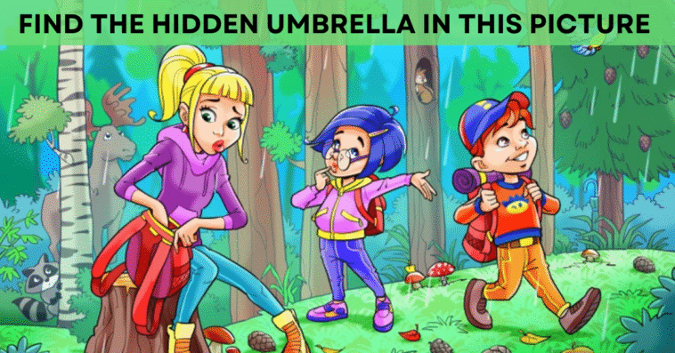 Can You Find the Hidden Object in This Picture?