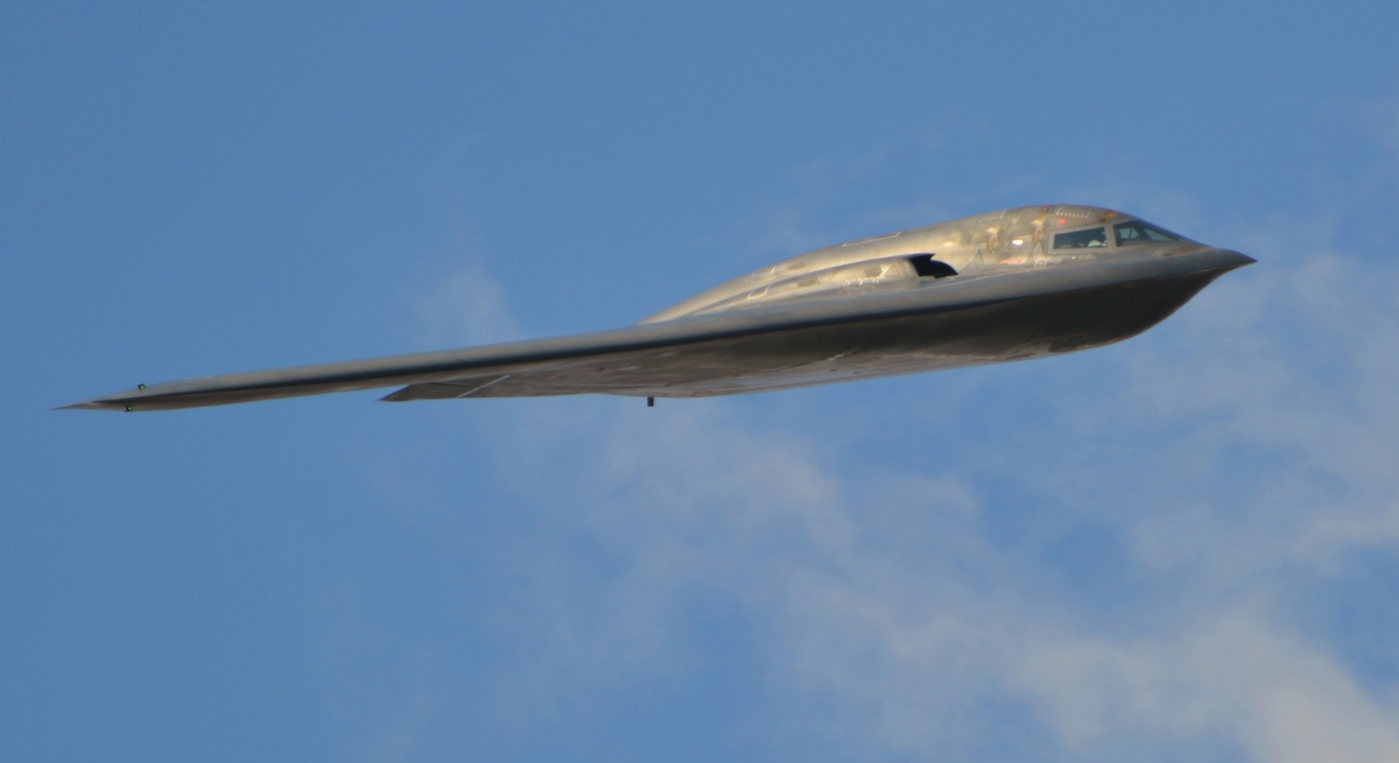 Peregrine Falcon-Inspired Missiles