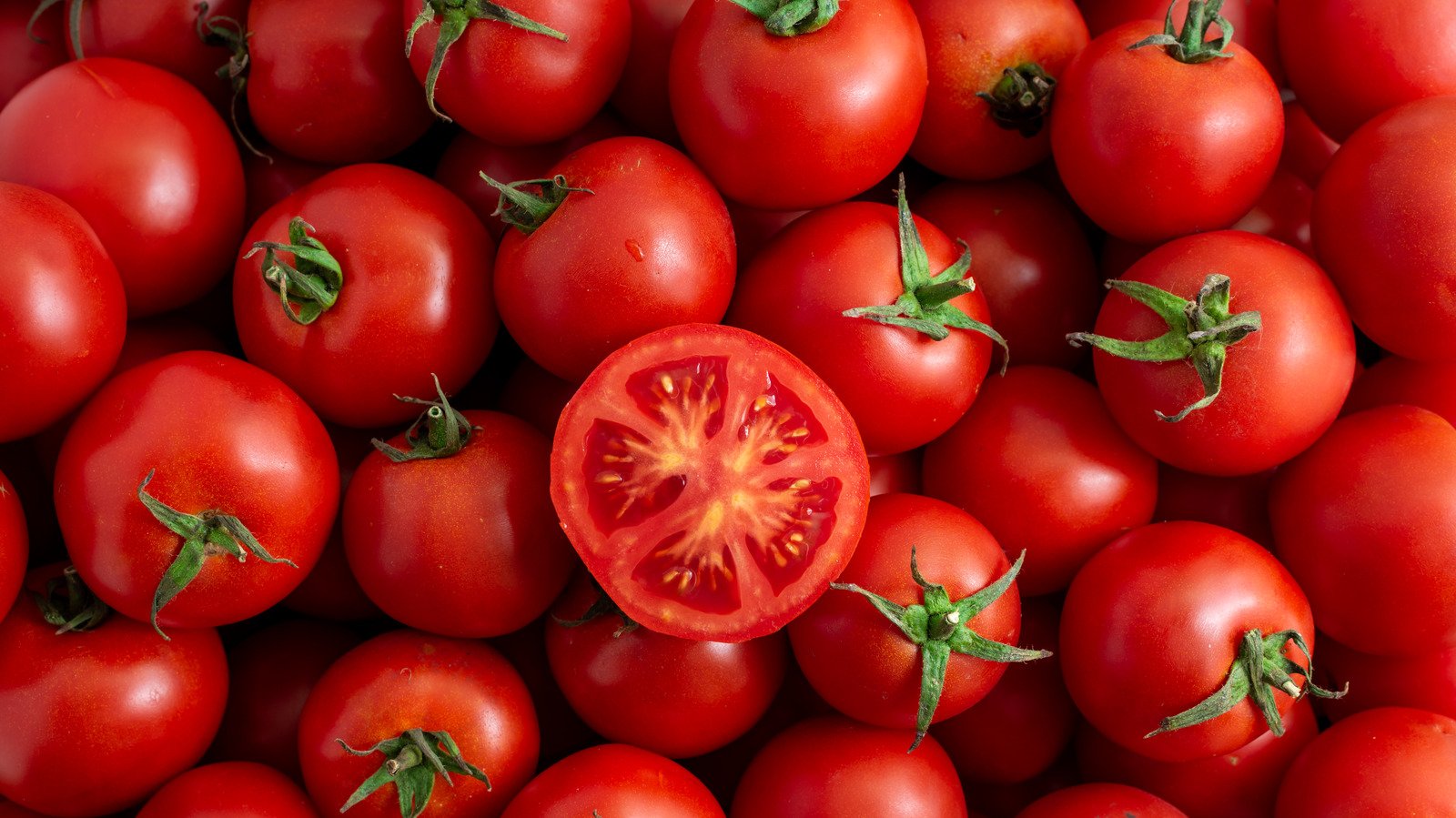 Tomatoes (Leaves and Stems)