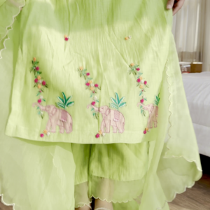 Lime Green Embroidered Suit – Playful Ethnic Elegance