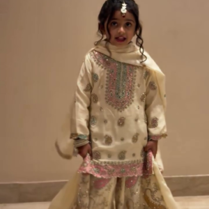 Elegant Maroon Korean Top with Denim – Chic Everyday Fashion